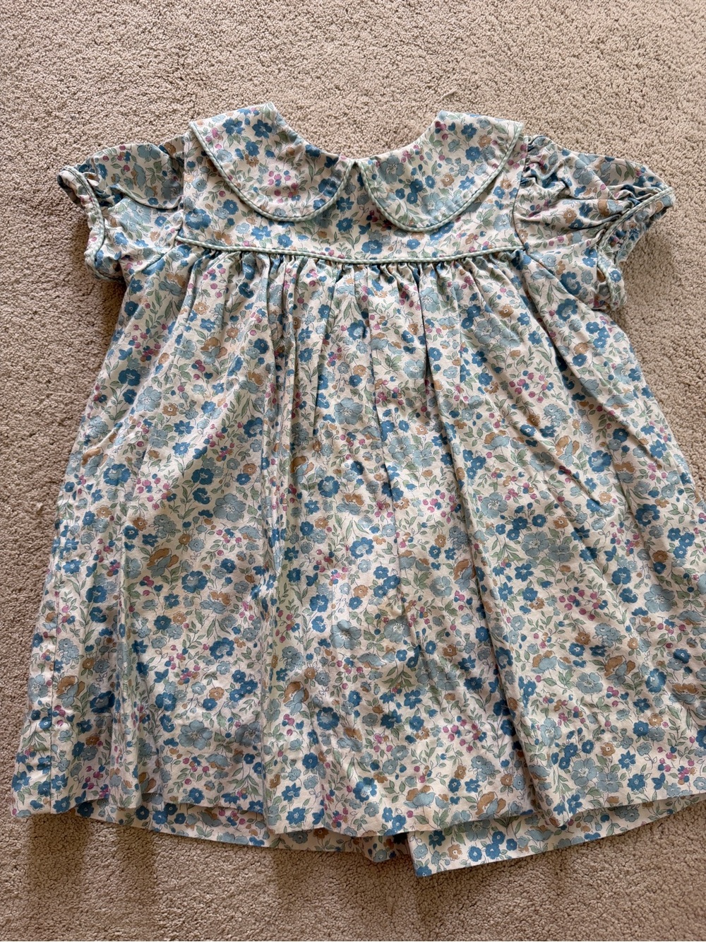 Willow Cream Floral Peter Pan Collar Dress Blouse